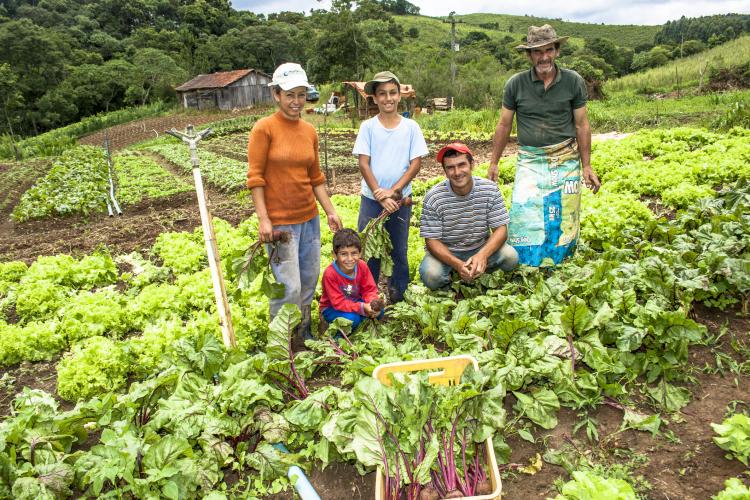 Inscrições abertas para programa de aceleração para agricultura sustentável em SP e MG