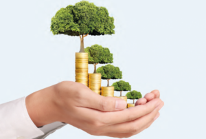 Unindo Investidores E Projetos