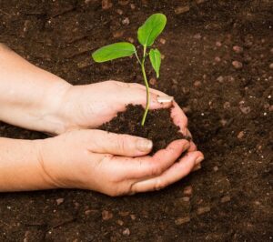 Natura abre inscrições para a 6ª edição do Prêmio Acolher