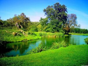 200 mil euros para projetos de revitalização social e ambiental