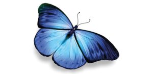 O Que Você Faz Com As Oportunidades Em Suas Mãos?