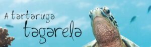 A Tartaruga Tagarela