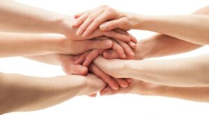 Programas De Voluntariado