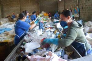 Lei das ONGs: PL exclui contratos entre prefeituras e catadores de recicláveis