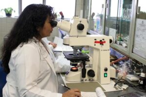 Pesquisadoras brasileiras podem se inscrever para programa apoiado pela Unesco