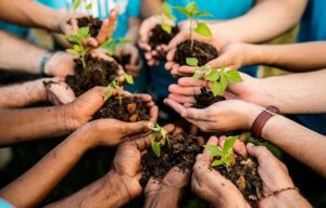 Instituto Bancorbrás lançará em 9 de março novo edital para meio ambiente