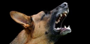 Está na hora de agir?