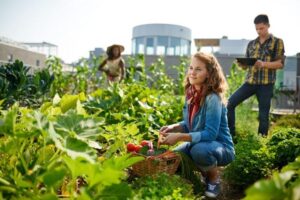 Prêmio reconhece melhores práticas de sustentabilidade