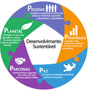 Em busca do desenvolvimento sustentável