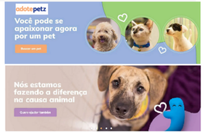 Novo site do Programa Adote Petz facilita adoção segura de cães e gatos