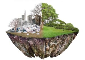 Sustentabilidade e voluntariado: o voluntário é o protagonista