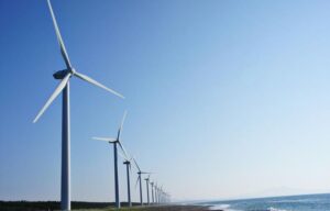 IBM abre edital para apoiar OSCs com projetos de energia limpa