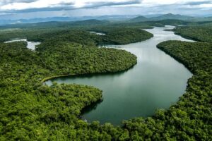 Aperam BioEnergia lança 2º Edital de Apoio a Iniciativas Ambientais