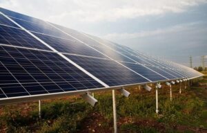 Edital vai apoiar OSCs com até R$ 70 mil para projetos de sustentabilidade