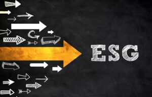 ESG: boas práticas ambientais, sociais e de governança chegam ao Terceiro Setor