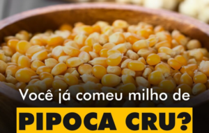 INSPIRAÇÕES DO ZEPPA: Você já comeu milho de pipoca cru?