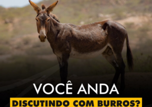 INSPIRAÇÕES DO ZEPPA: Você anda discutindo com burros?