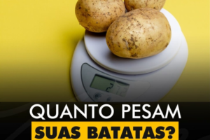 INSPIRAÇÕES DO ZEPPA: Quanto pesam suas batatas?