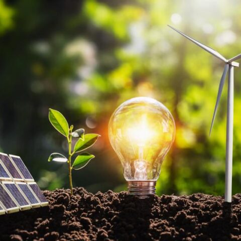 BTG Soma lança 12ª edição com foco na conservação da biodiversidade brasileira