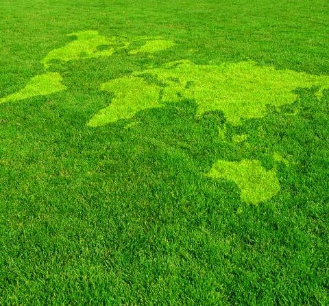 Iniciativa do EAU tem quase US$ 6 mi para soluções de impacto global