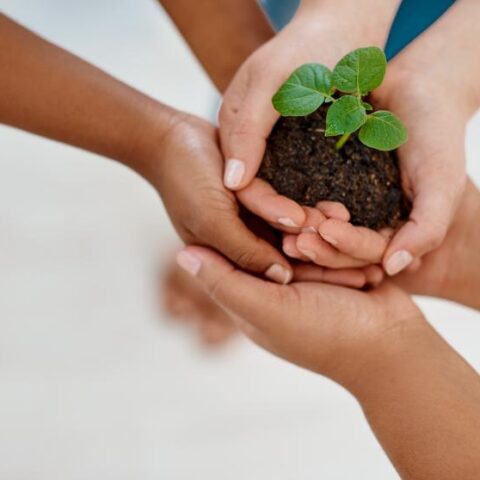 Ambev VOA 2025 fortalecerá 80 organizações focadas em inclusão produtiva