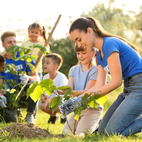 O poder transformador do trabalho voluntário nas organizações sociais