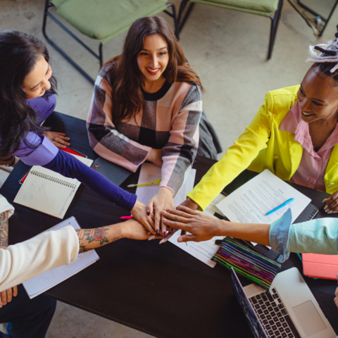 9 Princípios da Cultura Organizacional no Terceiro Setor: o que sustenta uma ONG que transforma?