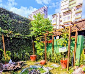 ONGs mudam o clima das casas em Belém