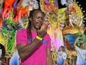 Empresa oferece acessibilidade no carnaval do Rio