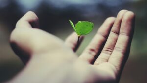 Solera recebe prêmio por tecnologia climática no reparo