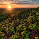 Ecora abre consulta pública na área de créditos de carbono