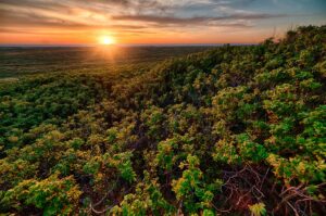 Ecora abre consulta pública na área de créditos de carbono