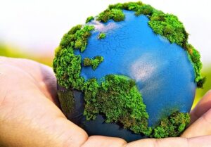 ESG é uma estratégia rentável e sustentável