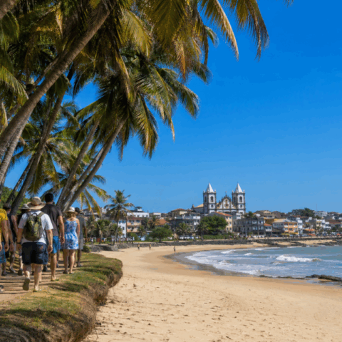 Alta no turismo impulsiona passeios e roteiros em Ilhéus