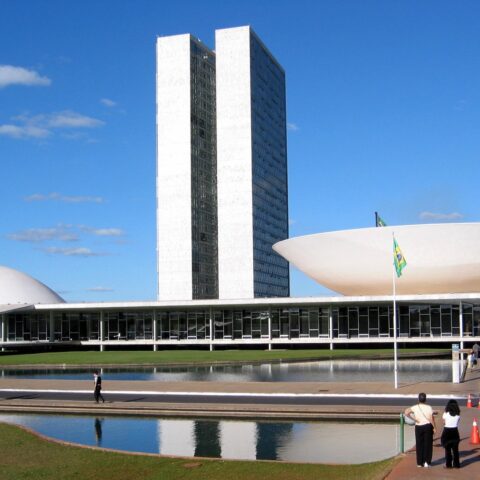 Abate de jumentos ganha&nbsp;audiência pública no Congresso na próxima quinta
