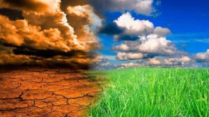 El Niño provoca uma série de impactos climáticos