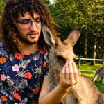 Inglês + voluntariado: experiência que fortalece causas