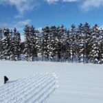 Land Art: artistas transformam natureza em telas