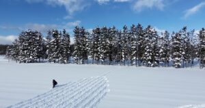 Land Art: artistas transformam natureza em telas