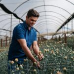 Primavera destaca diversidade no mercado de flores