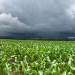 El Niño forte aumenta risco para o agronegócio