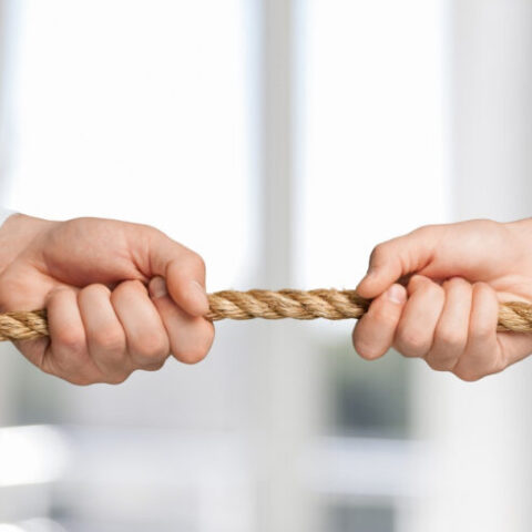 Entre a paixão e a gestão: instituições sociais devem ser administradas como empresas?