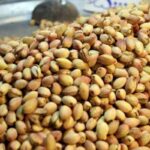 Pistaches oferecem benefícios para a saúde