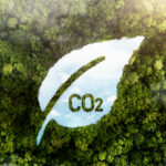 Crédito de carbono de alta qualidade sobe 75%, diz MSCI