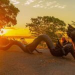 Esculturas e obras, a arte que nasce do Rio São Francisco